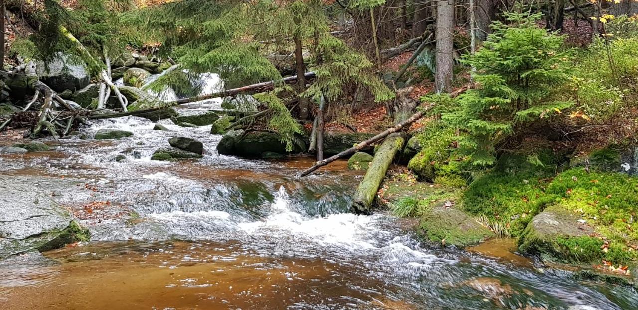 Apartament Gorski Widok Szklarska Poreba Luaran gambar
