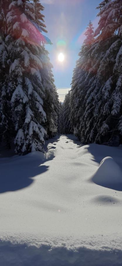 Apartament Gorski Widok Szklarska Poreba Luaran gambar