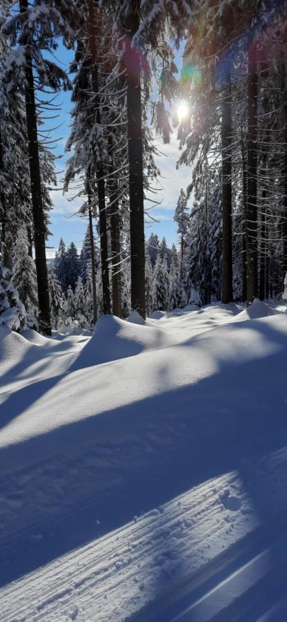 Apartament Gorski Widok Szklarska Poreba Luaran gambar